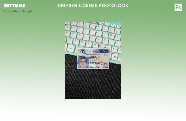 модерен стил САД Мериленд возачка дозвола photolook ПРЕДЕН шаблон